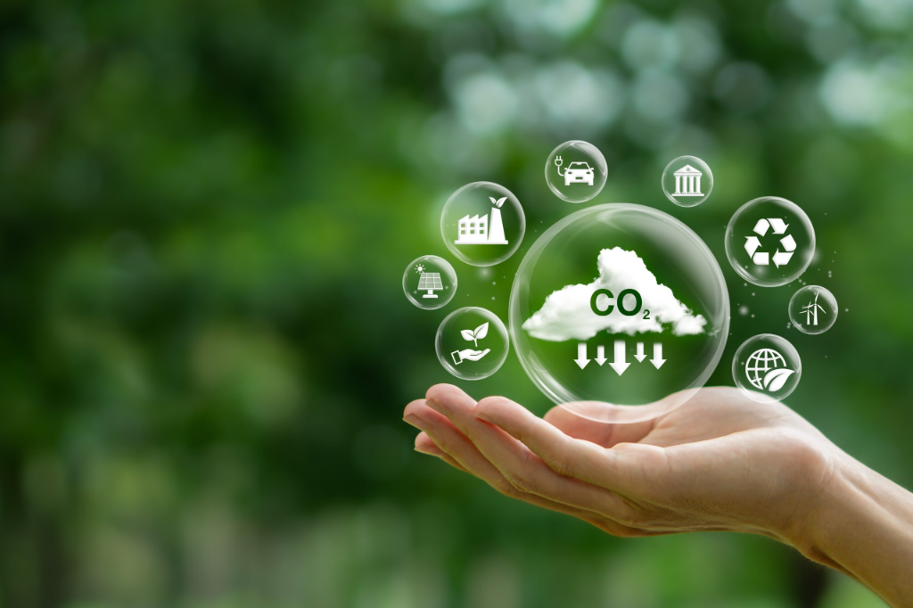 Our Commitment to Carbon Neutrality
